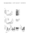 5  TRIPHOSPHATE OLIGONUCLEOTIDE WITH BLUNT END AND USES THEREOF diagram and image