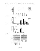 5  TRIPHOSPHATE OLIGONUCLEOTIDE WITH BLUNT END AND USES THEREOF diagram and image