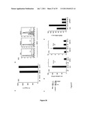 5  TRIPHOSPHATE OLIGONUCLEOTIDE WITH BLUNT END AND USES THEREOF diagram and image