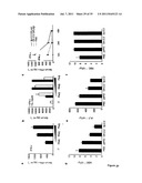 5  TRIPHOSPHATE OLIGONUCLEOTIDE WITH BLUNT END AND USES THEREOF diagram and image