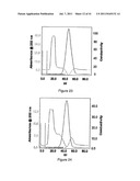 Heparan Sulphate Which Binds BMP2 diagram and image