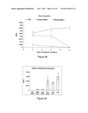 Heparan Sulphate Which Binds BMP2 diagram and image