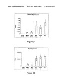 Heparan Sulphate Which Binds BMP2 diagram and image