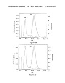 Heparan Sulphate Which Binds BMP2 diagram and image