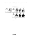 Heparan Sulphate Which Binds BMP2 diagram and image