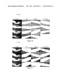 Heparan Sulphate Which Binds BMP2 diagram and image