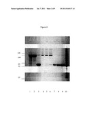 SUPPRESSION OF CANCERS diagram and image