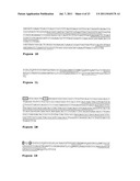 OSTEOPONTIN ANTIBODIES diagram and image