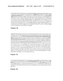 OSTEOPONTIN ANTIBODIES diagram and image