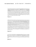 OSTEOPONTIN ANTIBODIES diagram and image