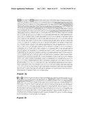 OSTEOPONTIN ANTIBODIES diagram and image