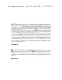 OSTEOPONTIN ANTIBODIES diagram and image