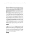 OSTEOPONTIN ANTIBODIES diagram and image