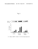 THERAPEUTIC AGENT AND DETECTION REAGENT FOR ARTERIOSCLEROTIC DISEASE WHICH     TARGETS FOR SALUSIN diagram and image