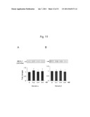 THERAPEUTIC AGENT AND DETECTION REAGENT FOR ARTERIOSCLEROTIC DISEASE WHICH     TARGETS FOR SALUSIN diagram and image