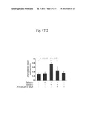 THERAPEUTIC AGENT AND DETECTION REAGENT FOR ARTERIOSCLEROTIC DISEASE WHICH     TARGETS FOR SALUSIN diagram and image