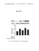 THERAPEUTIC AGENT AND DETECTION REAGENT FOR ARTERIOSCLEROTIC DISEASE WHICH     TARGETS FOR SALUSIN diagram and image