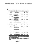 TUMOR CELLS FROM IMMUNE PRIVILEGED SITES AS BASE CELLS FOR CELL-BASED     CANCER VACCINES diagram and image