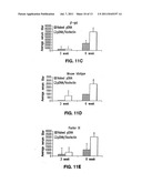 ADJUVANT COMPOSITIONS AND METHODS FOR ENHANCING IMMUNE RESPONSES TO     POLYNUCLEOTIDE-BASED VACCINES diagram and image