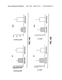 ADJUVANT COMPOSITIONS AND METHODS FOR ENHANCING IMMUNE RESPONSES TO     POLYNUCLEOTIDE-BASED VACCINES diagram and image