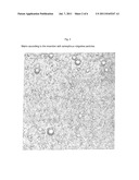 DEVICE FOR THE TRANSDERMAL ADMINISTRATION OF A ROTIGOTINE BASE diagram and image