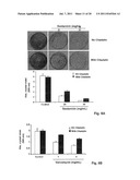 USE OF CILASTATIN TO REDUCE NEPHROTATOXICITY OF VARIOUS COMPOUNDS diagram and image