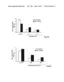 USE OF CILASTATIN TO REDUCE NEPHROTATOXICITY OF VARIOUS COMPOUNDS diagram and image