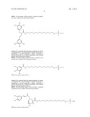 DESIGN, SYNTHESIS AND USE OF  SYNTHETIC NUCLEOTIDES COMPRISING CHARGE MASS     TAGS diagram and image