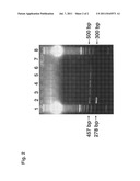 HERBICIDE TOLERANT RICE PLANTS AND METHODS FOR IDENTIFYING SAME diagram and image