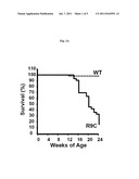 USE OF BIGLYCAN IN THE ASSESSMENT OF HEART FAILURE diagram and image