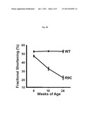 USE OF BIGLYCAN IN THE ASSESSMENT OF HEART FAILURE diagram and image