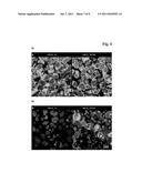 ANTIBODIES AGAINST HUMAN EPO RECEPTOR diagram and image