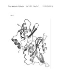 METHOD FOR DESIGNING MUTANT ENZYME, METHOD FOR PREPARING MUTANT ENZYME,     AND MUTANT ENZYME diagram and image