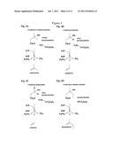 PRODUCTION OF ALKENES BY ENZYMATIC DECARBOXYLATION OF 3-HYDROXYALKANOIC     ACIDS diagram and image