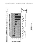 COMPOSITIONS, METHODS AND SYSTEMS FOR SINGLE MOLECULE SEQUENCING diagram and image