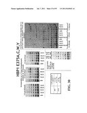 COMPOSITIONS, METHODS AND SYSTEMS FOR SINGLE MOLECULE SEQUENCING diagram and image