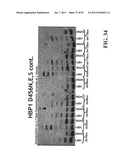 COMPOSITIONS, METHODS AND SYSTEMS FOR SINGLE MOLECULE SEQUENCING diagram and image