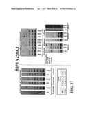 COMPOSITIONS, METHODS AND SYSTEMS FOR SINGLE MOLECULE SEQUENCING diagram and image