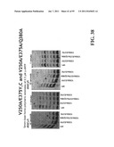 COMPOSITIONS, METHODS AND SYSTEMS FOR SINGLE MOLECULE SEQUENCING diagram and image