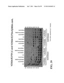 COMPOSITIONS, METHODS AND SYSTEMS FOR SINGLE MOLECULE SEQUENCING diagram and image