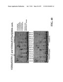 COMPOSITIONS, METHODS AND SYSTEMS FOR SINGLE MOLECULE SEQUENCING diagram and image