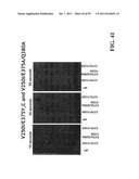 COMPOSITIONS, METHODS AND SYSTEMS FOR SINGLE MOLECULE SEQUENCING diagram and image