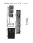 COMPOSITIONS, METHODS AND SYSTEMS FOR SINGLE MOLECULE SEQUENCING diagram and image