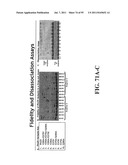 COMPOSITIONS, METHODS AND SYSTEMS FOR SINGLE MOLECULE SEQUENCING diagram and image