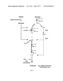 ENGINEERED MICROORGANISMS WITH ENHANCED FERMENTATION ACTIVITY diagram and image