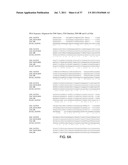 ENGINEERED MICROORGANISMS WITH ENHANCED FERMENTATION ACTIVITY diagram and image