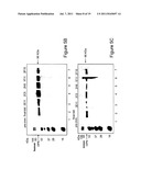 MONOCLONAL ANTIBODIES AGAINST OSTEOPONTIN diagram and image