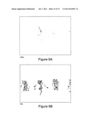 MONOCLONAL ANTIBODIES AGAINST OSTEOPONTIN diagram and image