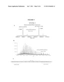 COMPOSITIONS FOR USE IN IDENTIFICATION OF STRAINS OF E. COLI O157:H7 diagram and image