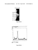 POLYMER CONJUGATES OF THERAPEUTIC PEPTIDES diagram and image